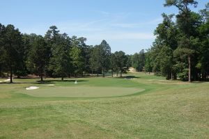Palmetto 6th Back